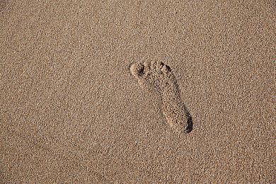 库洛开放世界动作游戏《鸣潮》TGS 2022实机演示预告公布